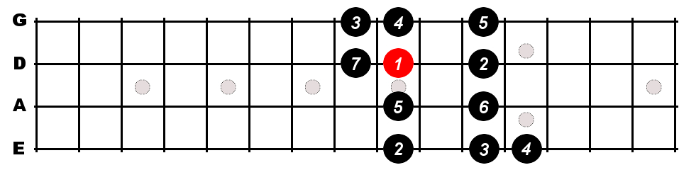 B Major Scale For Bass - Constantine Guitars