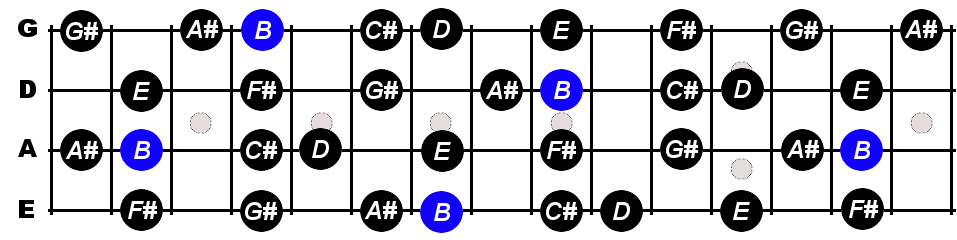 B Flat Major Scale For Bass - Constantine Guitars